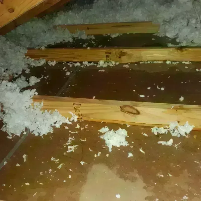 Attic Water Damage in Avon, MA